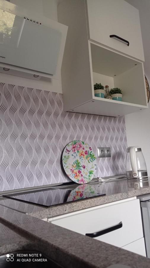 Maly Apartamencik Teo レバル エクステリア 写真