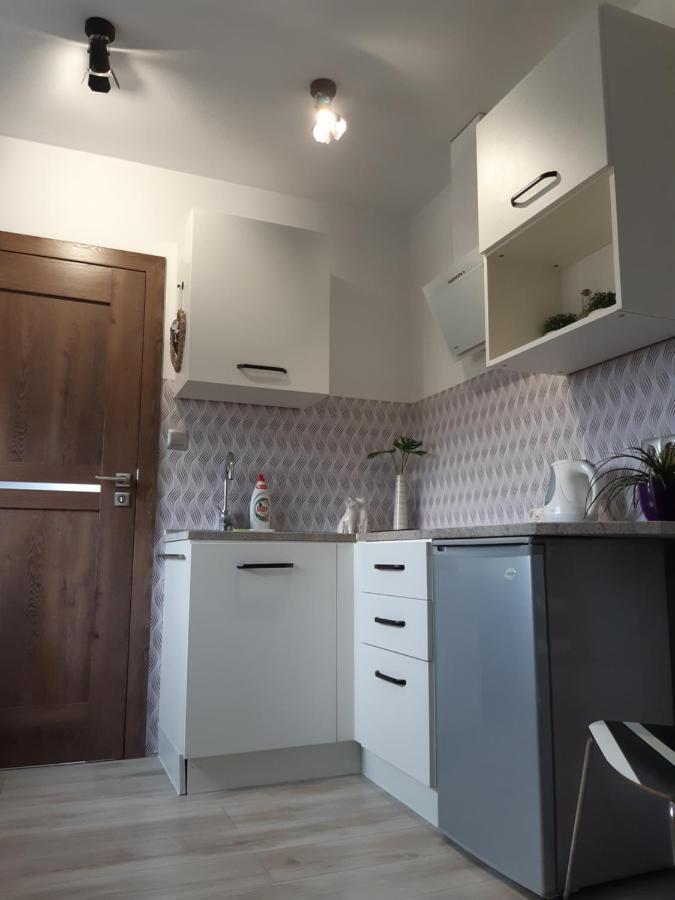 Maly Apartamencik Teo レバル エクステリア 写真
